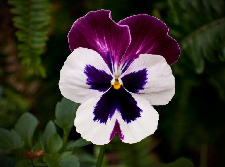 LR DSC 0083e